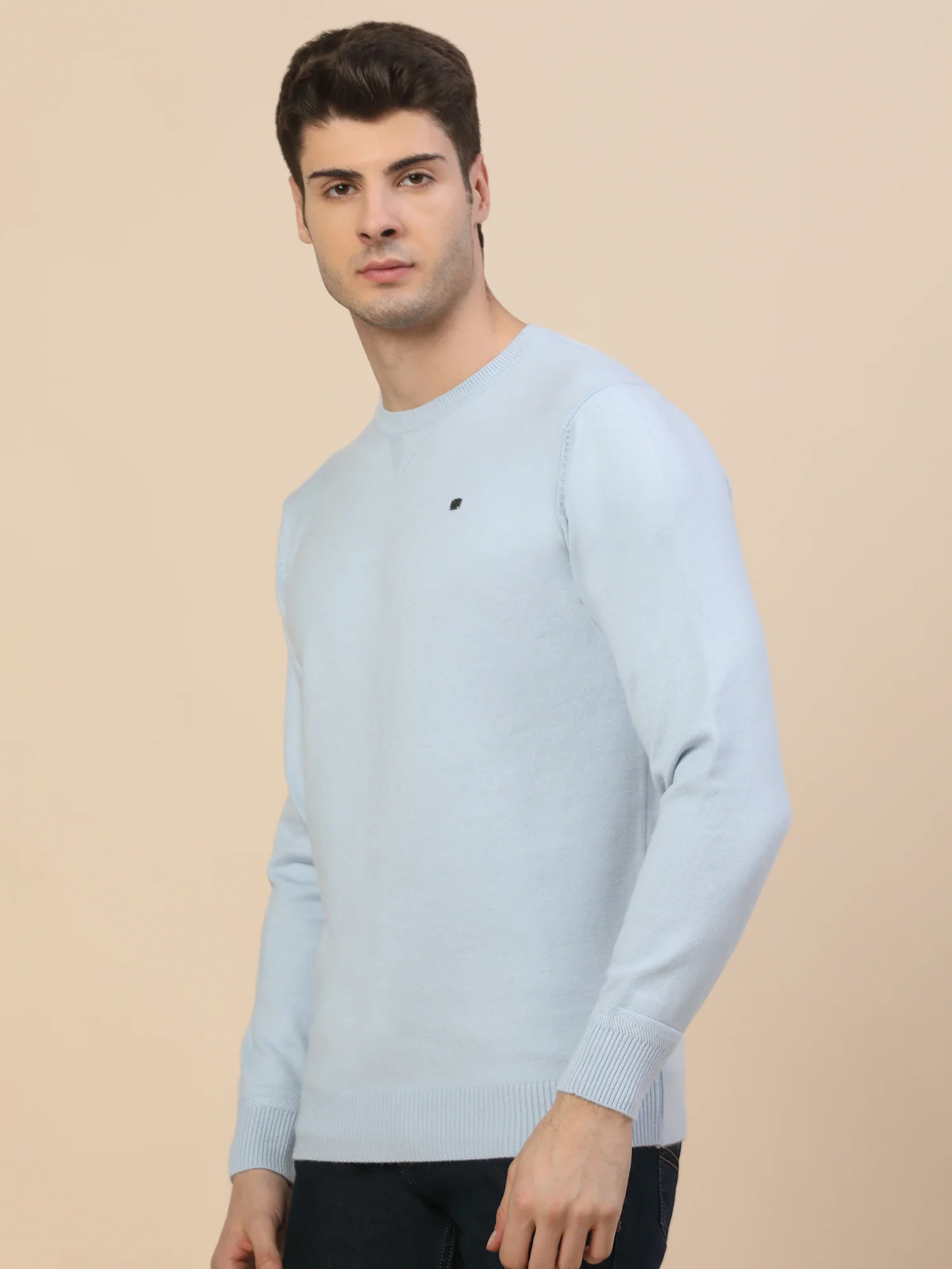 Sweater for Men | Winter Wear Fancy Fabric Pull-On Closure Round Neck Regular Fit Solid Pattern - Image 4