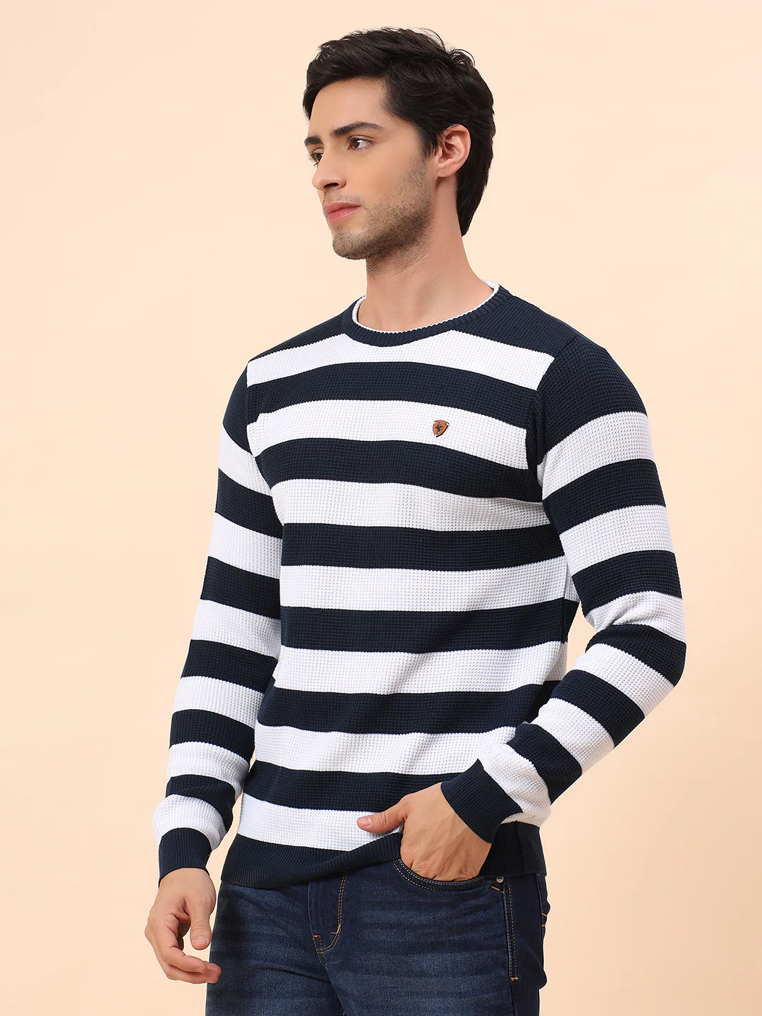 Sweater for Men | Winter Wear Polyester Fabric Pull-On Closure Round Neck Regular Fit Striped Pattern - Image 4