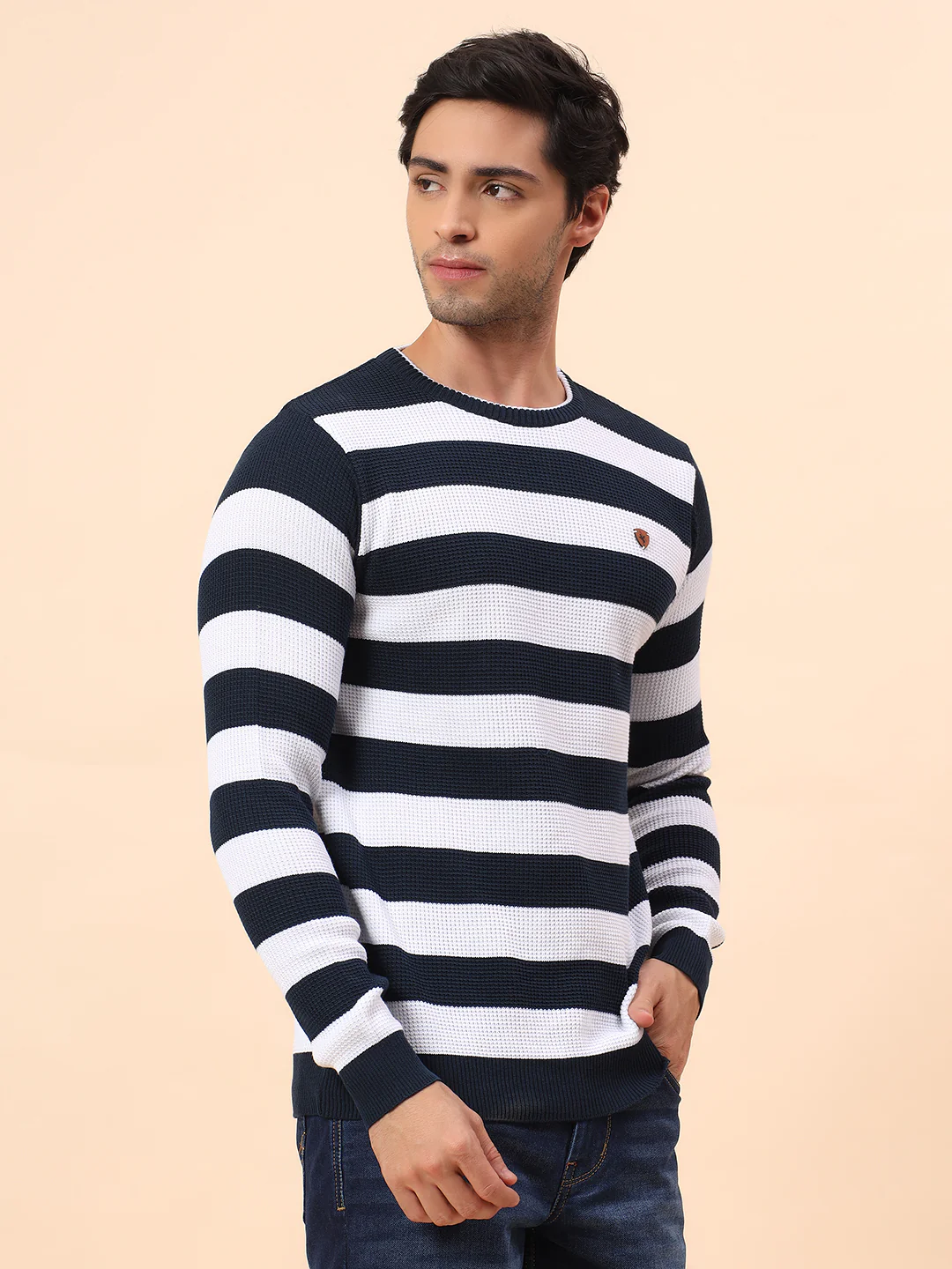 Sweater for Men | Winter Wear Polyester Fabric Pull-On Closure Round Neck Regular Fit Striped Pattern - Image 5