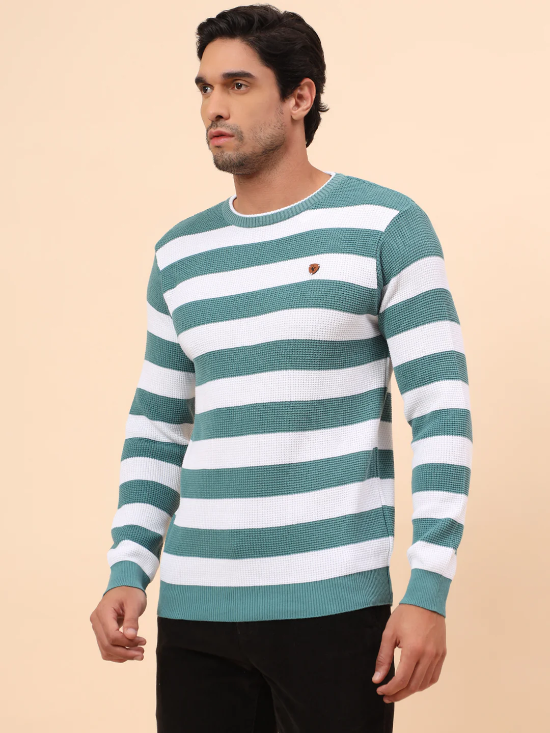 Sweater for Men | Winter Wear Polyester Fabric Pull-On Closure Round Neck Regular Fit Striped Pattern - Image 3