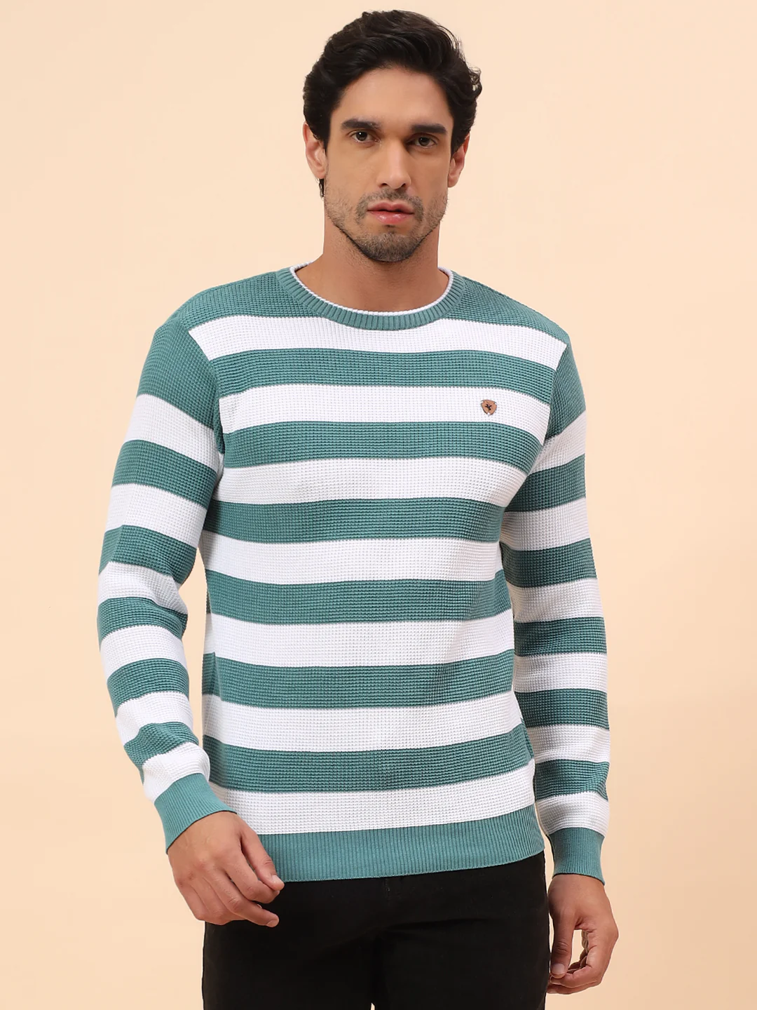 Sweater for Men | Winter Wear Polyester Fabric Pull-On Closure Round Neck Regular Fit Striped Pattern - Image 4