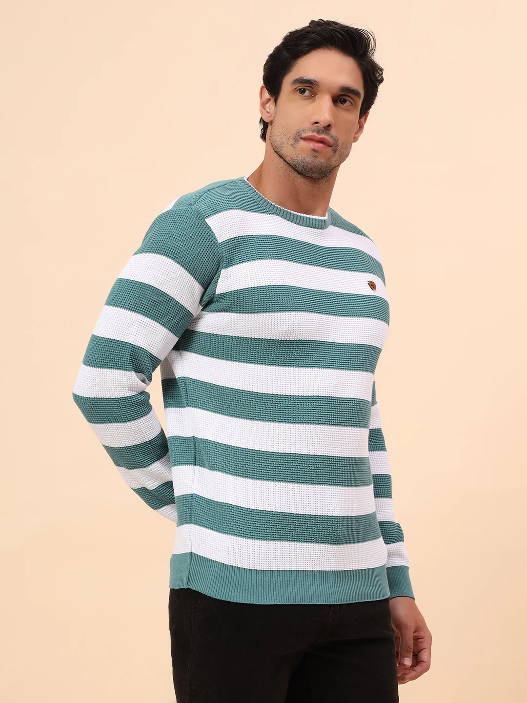 Sweater for Men | Winter Wear Polyester Fabric Pull-On Closure Round Neck Regular Fit Striped Pattern - Image 5
