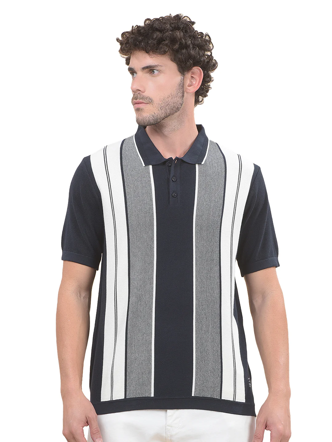 T-Shirt for Men | Breathable & Soft with Color Fastness Regular Fit Polo Neck Cotton Blend Fabric Striped Pattern - Image 9