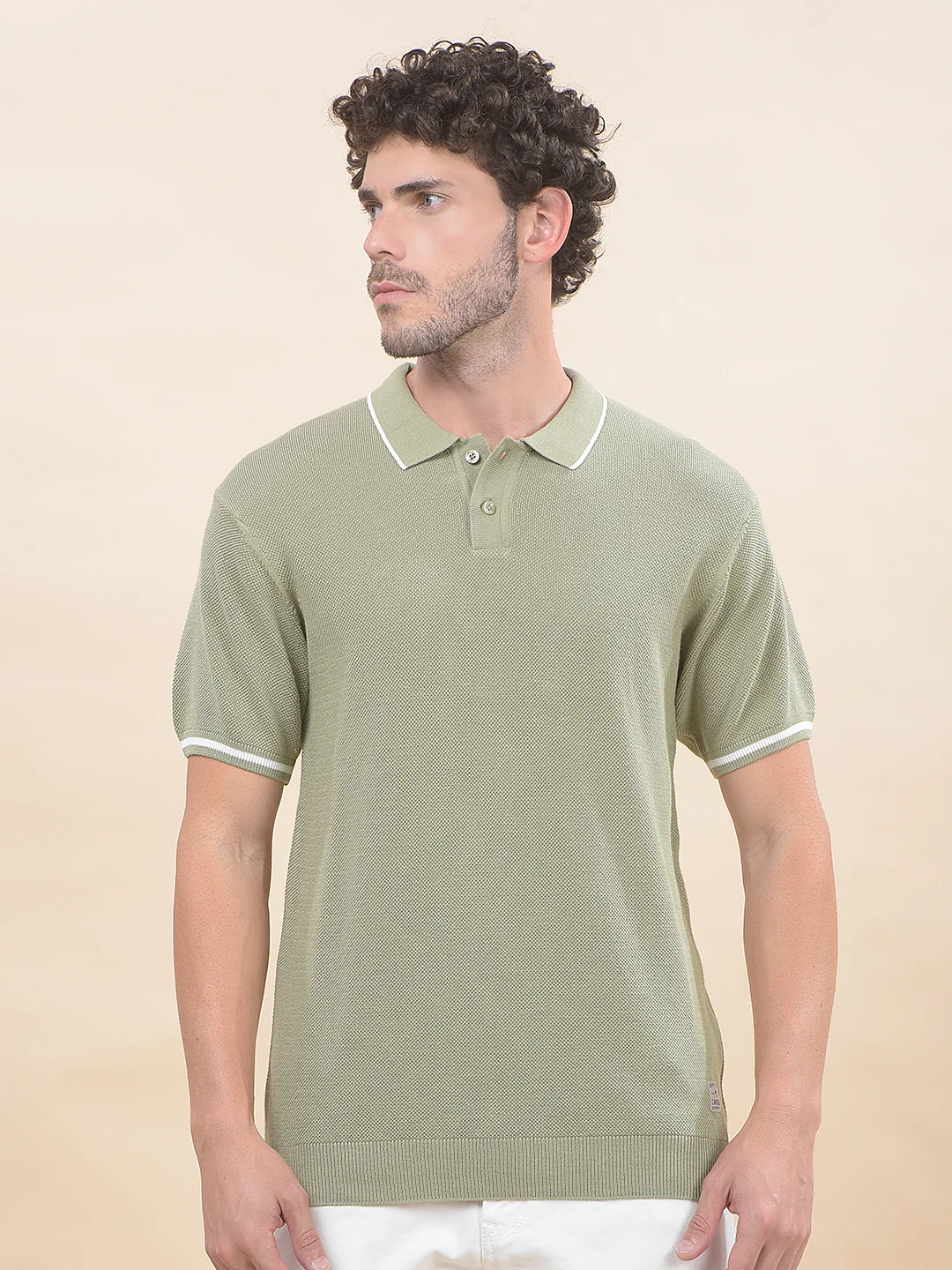 T-Shirt for Men | Breathable & Soft with Color Fastness Regular Fit Polo Neck Poly Cotton Fabric Cotton Blend Pattern - Image 4