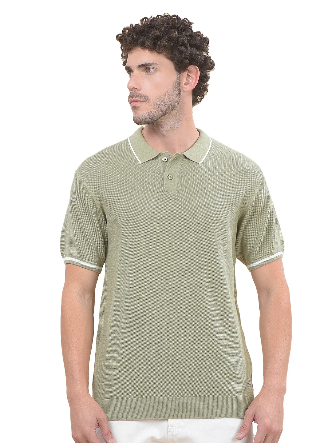 T-Shirt for Men | Breathable & Soft with Color Fastness Regular Fit Polo Neck Poly Cotton Fabric Cotton Blend Pattern - Image 7