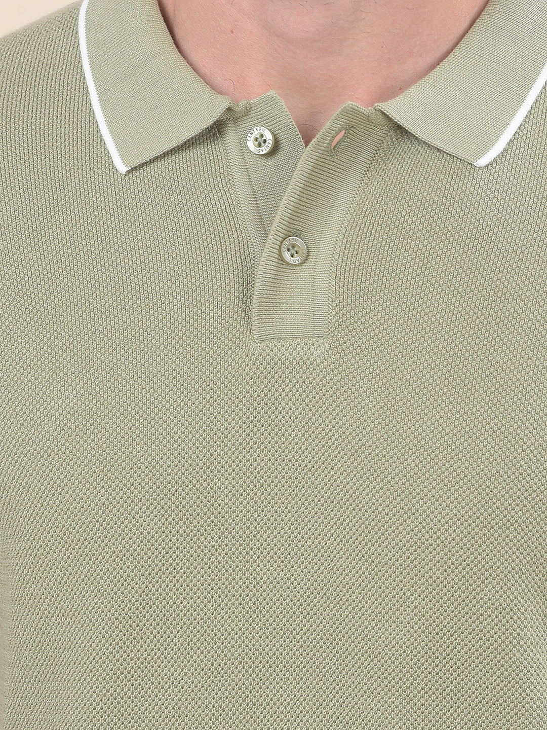 T-Shirt for Men | Breathable & Soft with Color Fastness Regular Fit Polo Neck Poly Cotton Fabric Cotton Blend Pattern - Image 9