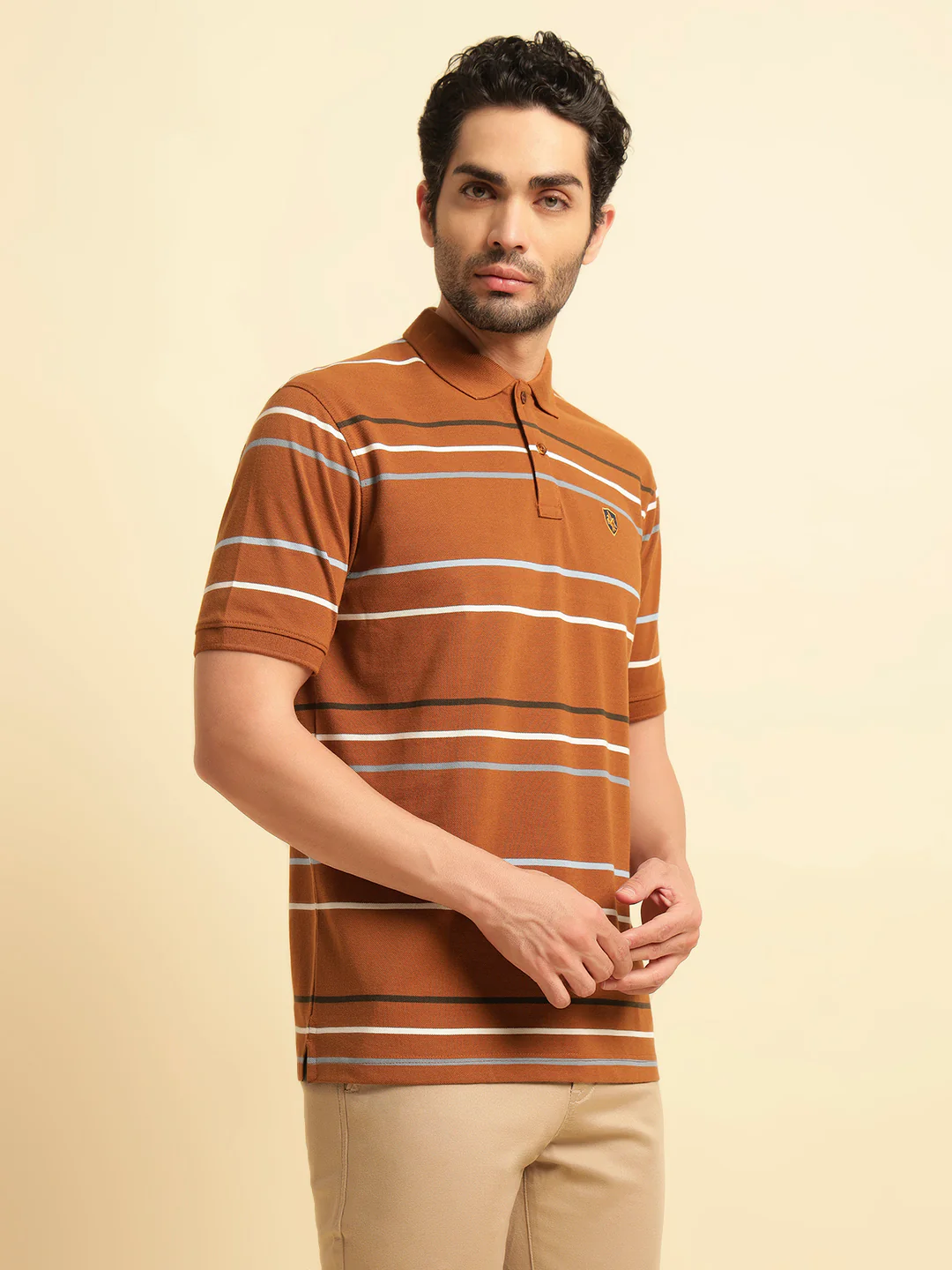 T-Shirt for Men | Breathable & Soft with Color Fastness Regular Fit Polo Neck Poly Cotton Fabric Striped Pattern - Image 4