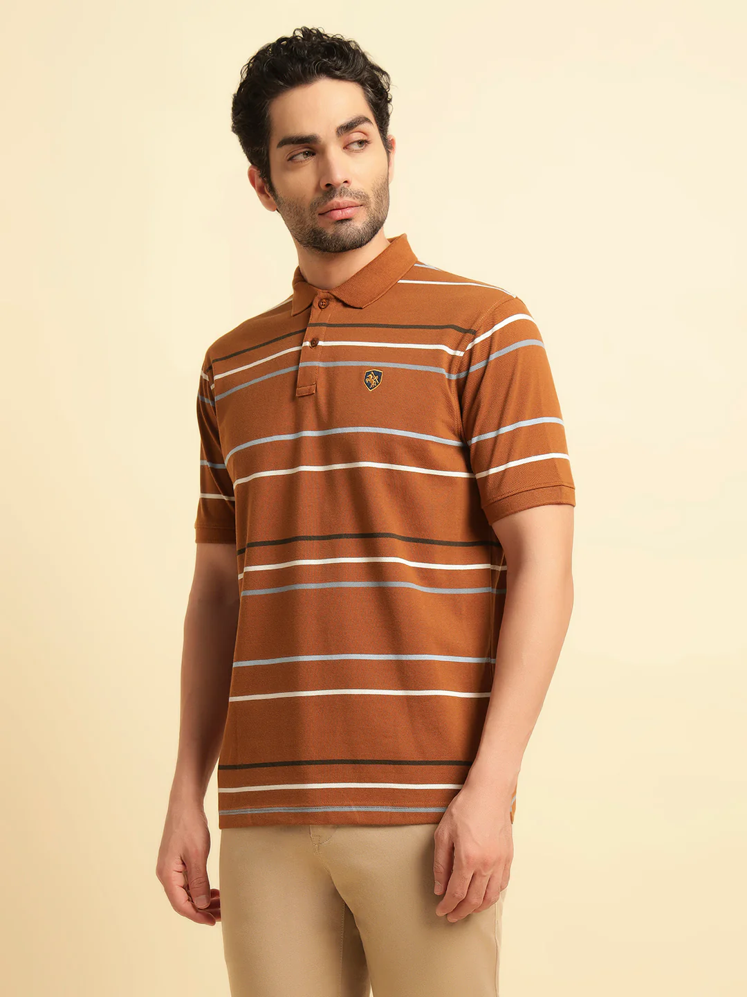 T-Shirt for Men | Breathable & Soft with Color Fastness Regular Fit Polo Neck Poly Cotton Fabric Striped Pattern - Image 5
